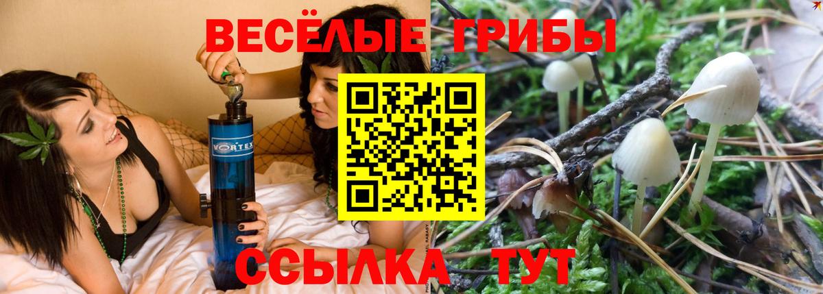 Отрадное  купить наркоту  Вход с VPN  Псилоцибиновые грибы мухоморы 